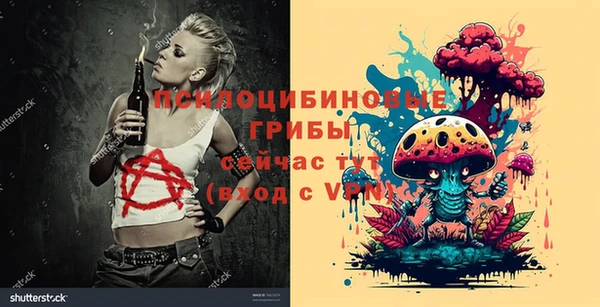 apvp Алексеевка