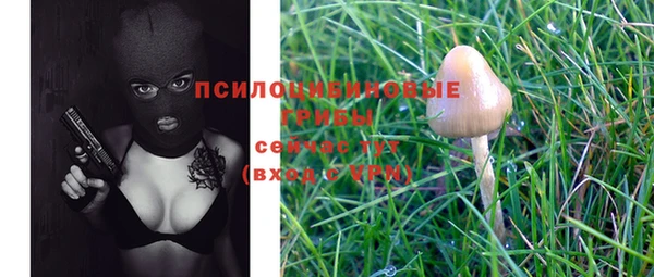 apvp Алексеевка