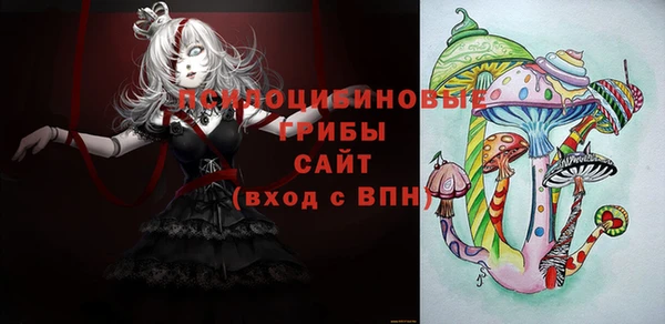 apvp Алексеевка