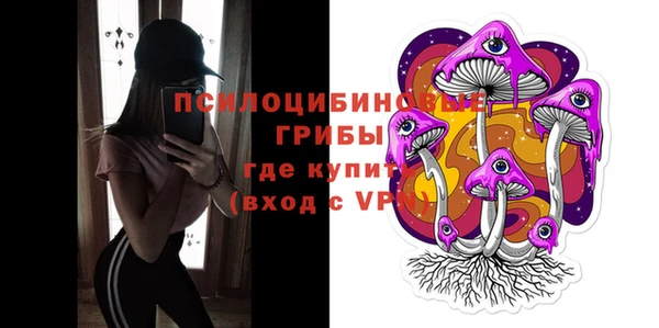 кокс Алексин