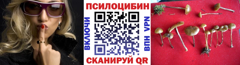 Купить закладки  Грозный  Галлюциногенные грибы прущие грибы 