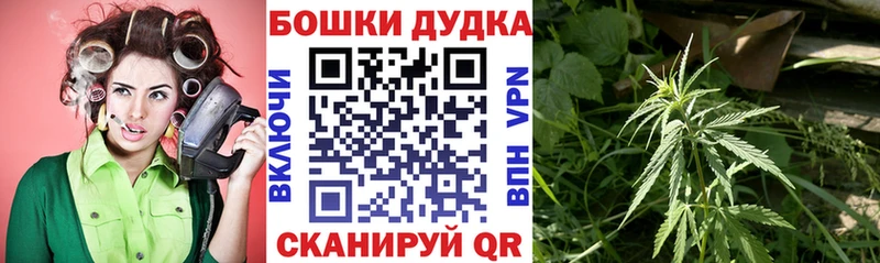 Бошки Шишки сатива  Купить где  Грозный 